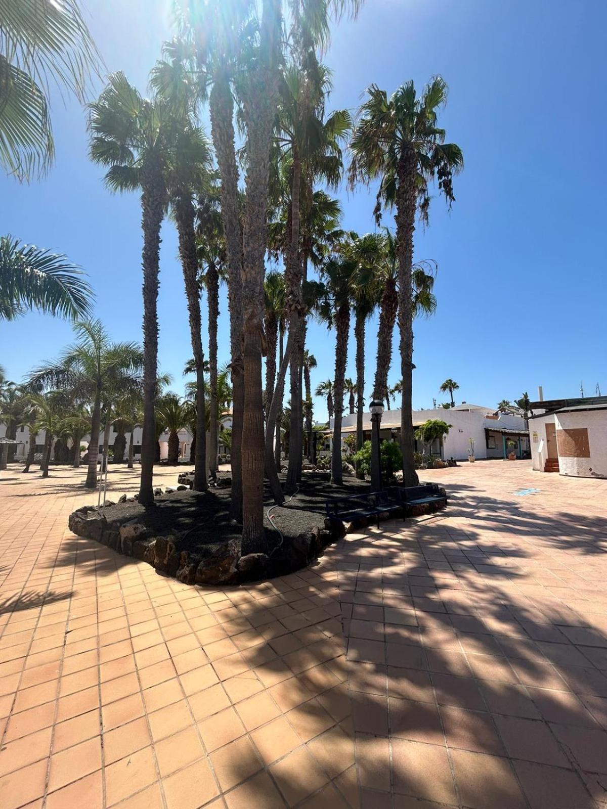 Apartamentos Gala Corralejo Exteriér fotografie