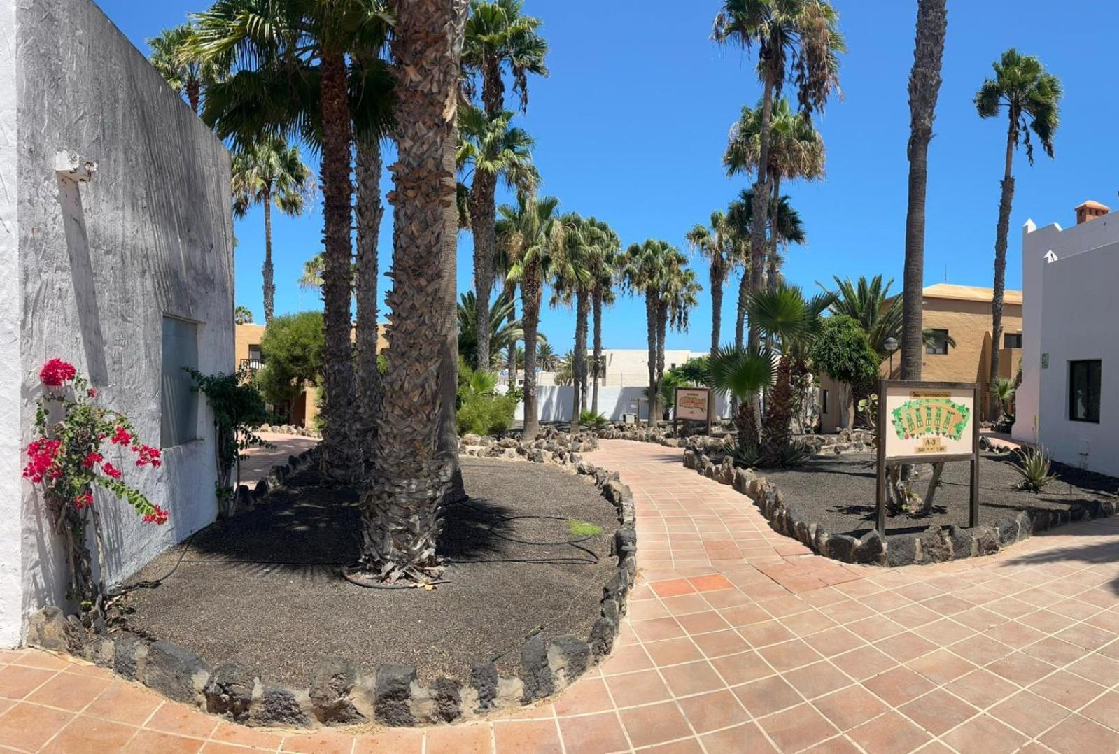 Apartamentos Gala Corralejo Exteriér fotografie